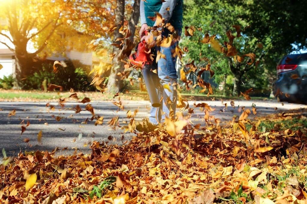 Leaf Blower In Action