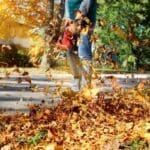 Leaf Blower In Action